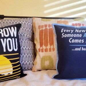 Zippers in Pillows OH MY - Littleton
